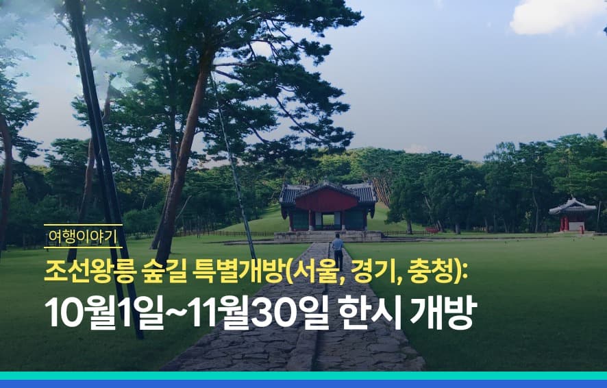 서울 근교 구리 당일치기 코스, 동구릉 산책부터 한강 유채꽃과 곱창골목까지 하루 동선 정리