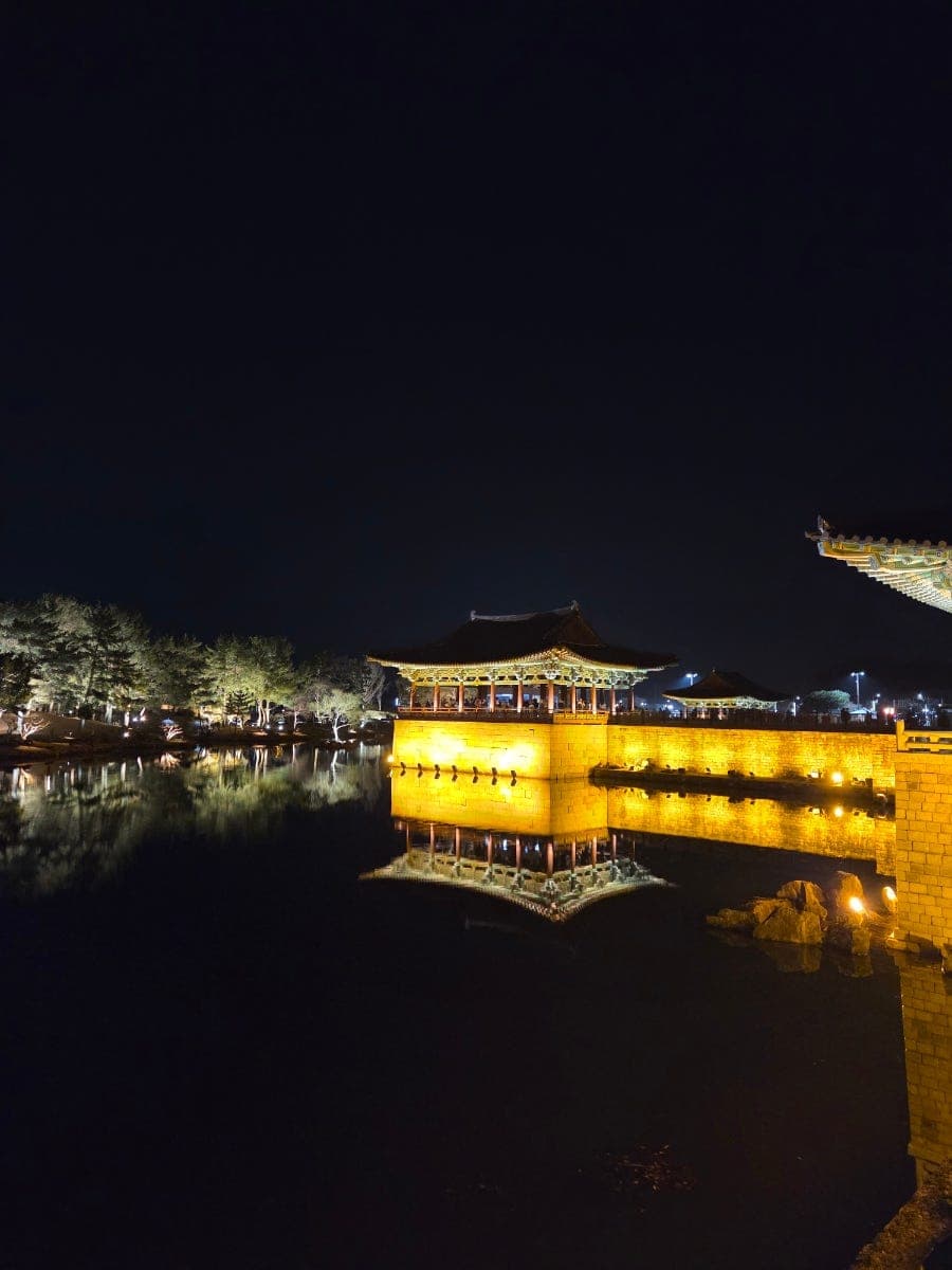 경주 2박 3일 혼행 코스, 불국사·석굴암·황리단길·동궁과 월지까지 비용 정리